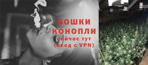 ГАЛЛЮЦИНОГЕННЫЕ ГРИБЫ Балабаново