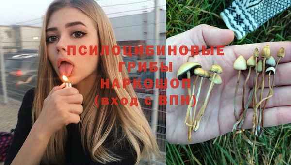 ГАЛЛЮЦИНОГЕННЫЕ ГРИБЫ Балабаново