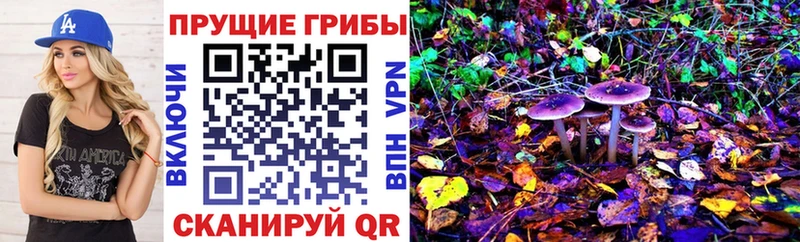Галлюциногенные грибы Cubensis  Купить  Полевской 